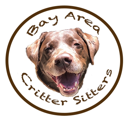 Bay Area Critter Sitters