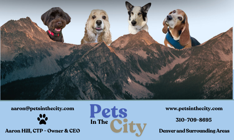 Pets in the City