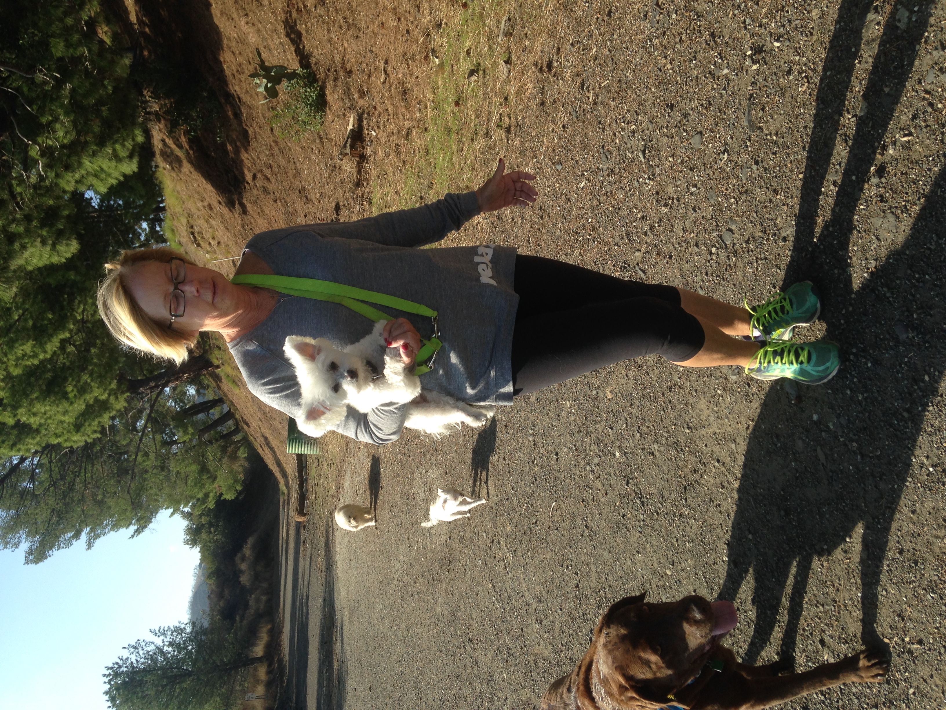 Dog Gone Fitness Co.