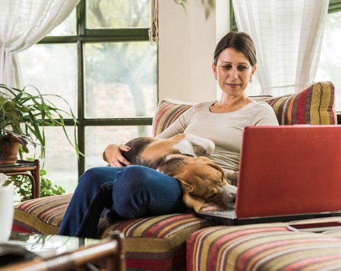 A female pet sitter with brown hair sits on striped couching looking at the screen of her red laptop while holding a small Beagle dog. 