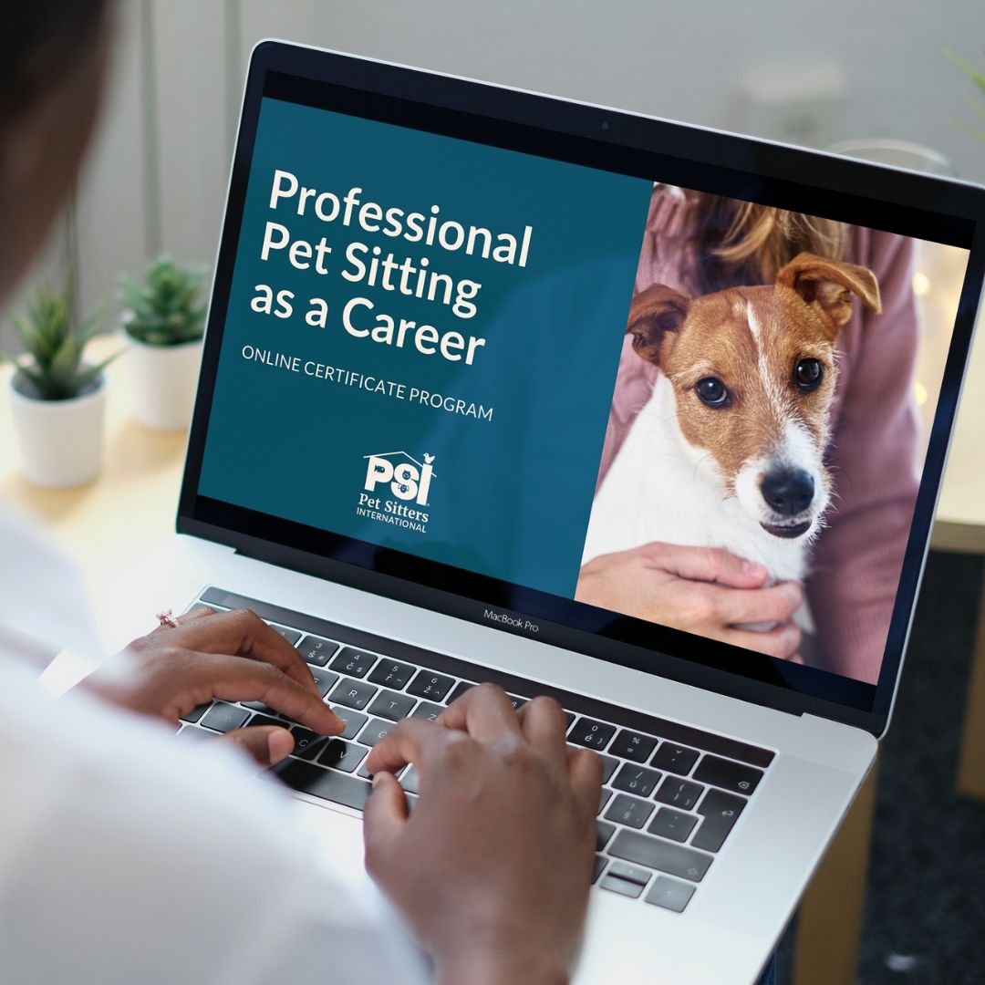 Professional Pet Sitting as a Career course Professional Pet Sitting as a Career course