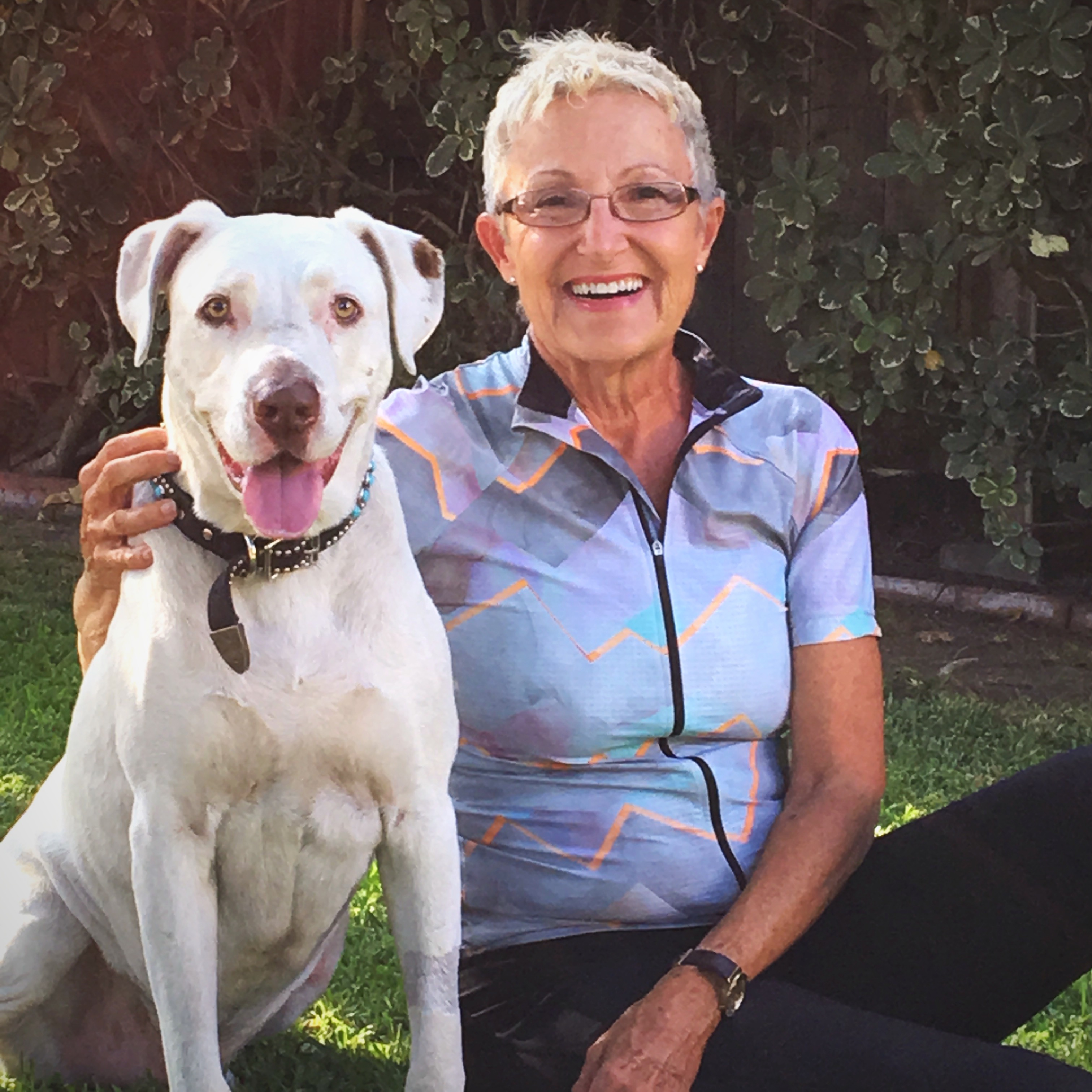 Kriske Critters Pet Care Service