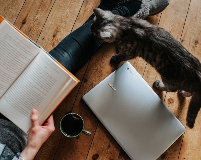 A pet sitter reads a book as a cat walks nearby