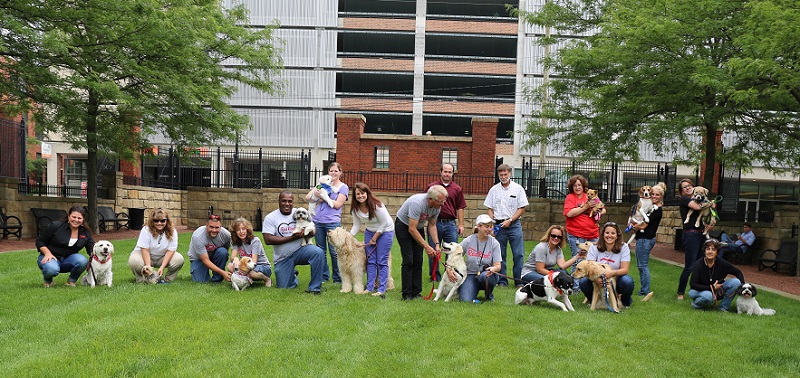 Co-workers stand on a lawn and pose for a photo with their dogs at a Take Your Dog To Work Day event.