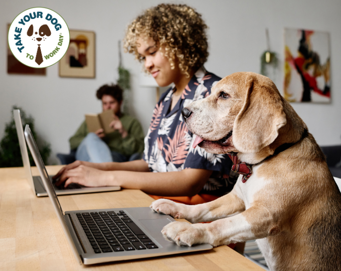 PSI’s Take Your Dog To Work Day® returns for its 27th year—all for a good cause