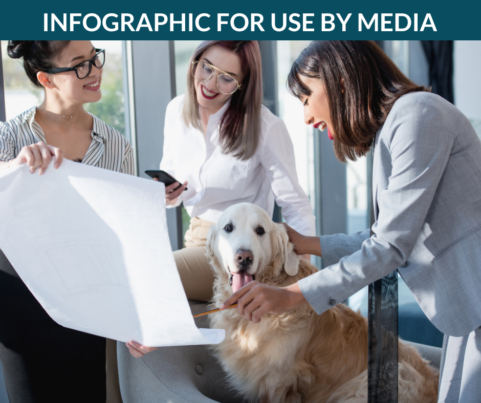 Women in an office pet a dog while looking at a blueprint.
