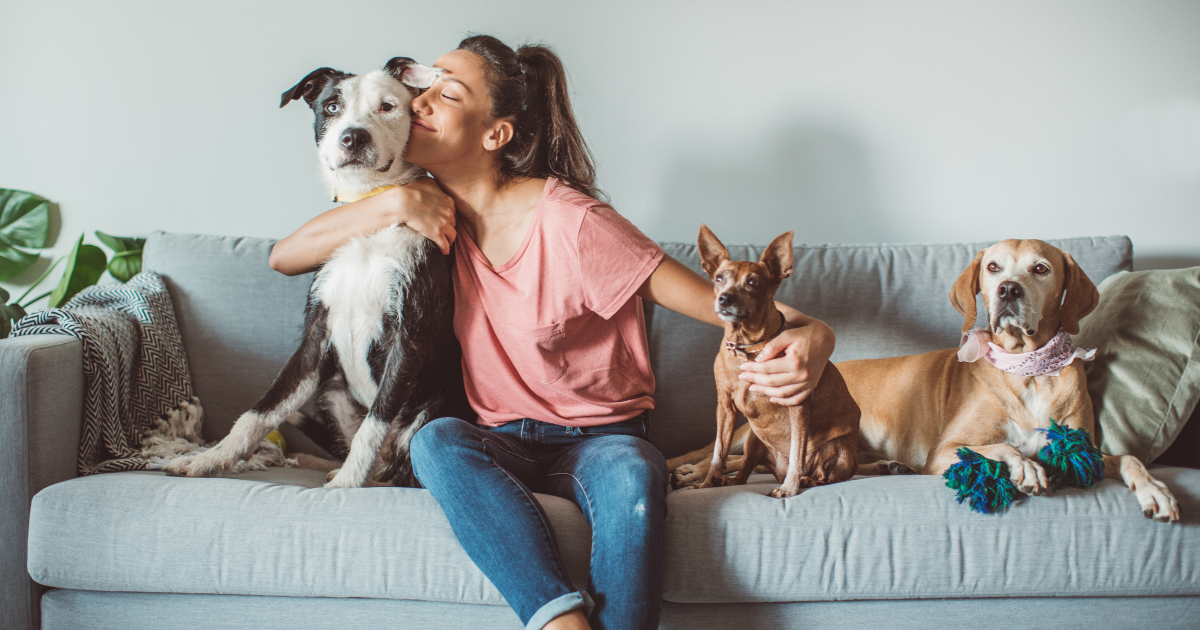 Female pet sitter is sitting on  the couch at her client's home hugging one of the dogs she is caring for. Other smaller dogs are sitting on the couch with her.