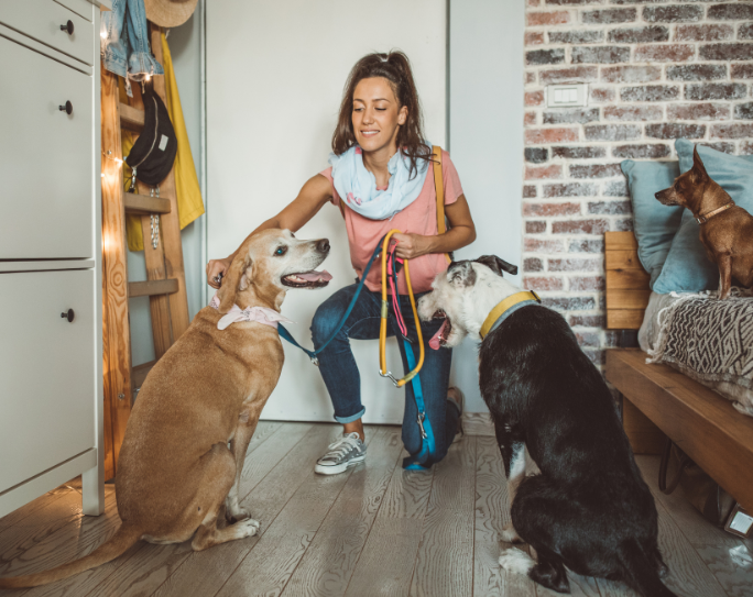 Pet Sitters International issues tips for pet parents navigating return-to-office mandates