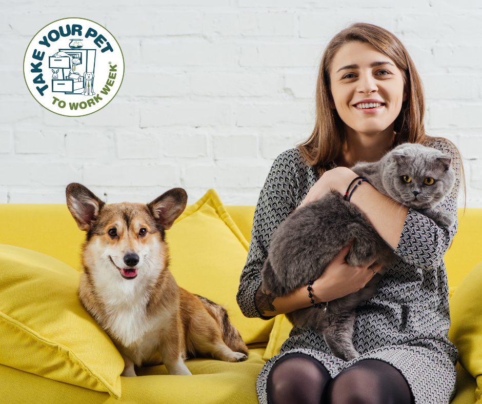 Smiling woman holds a cat while sitting on a couch, and a dog sits next to her.